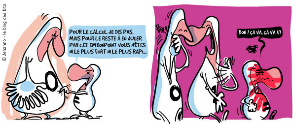 le blog des bits © pascal jehanno